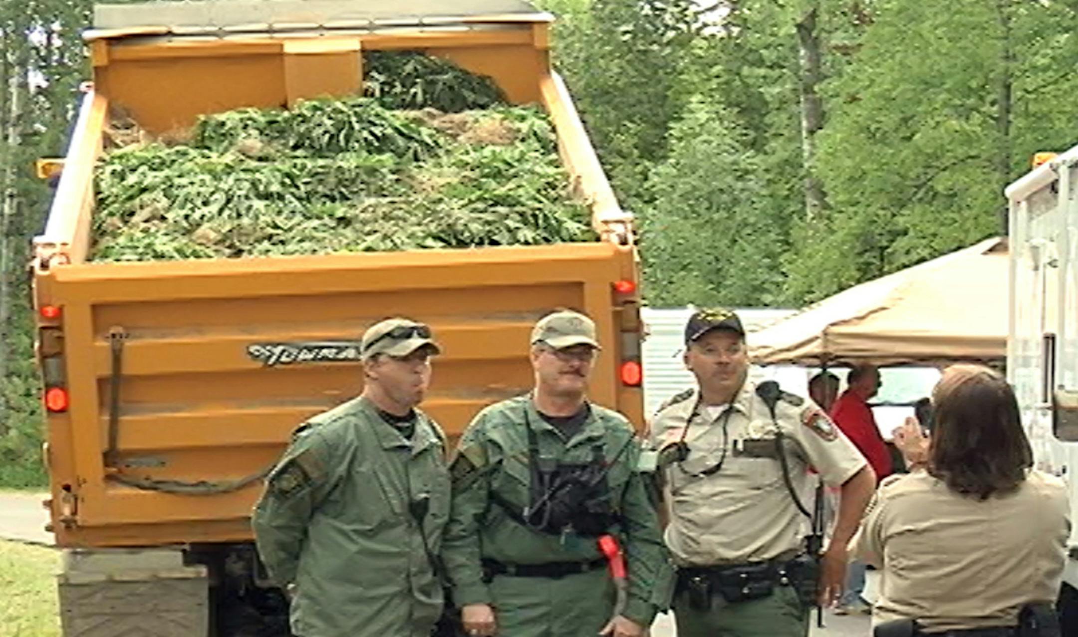Authorities seized thousands of marijuana plants near Hinckley, Minn.
