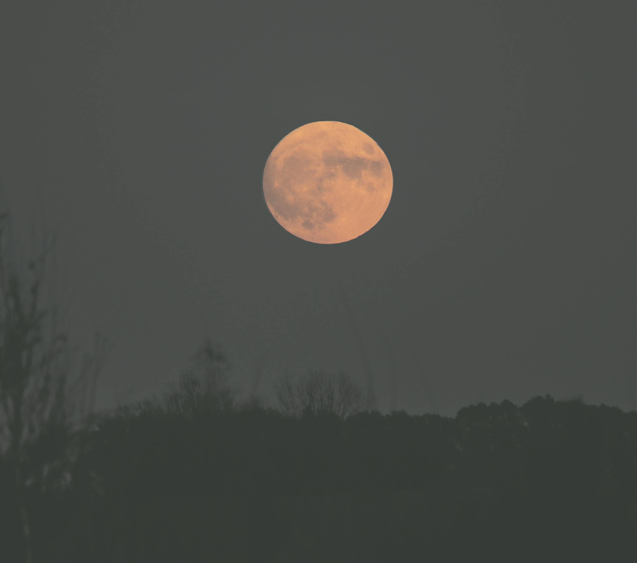 Michael Troje of Minnepolis shot this super moon photo from archery range platform in Northfield, with some atmospheric distortion. -- Michael Troje