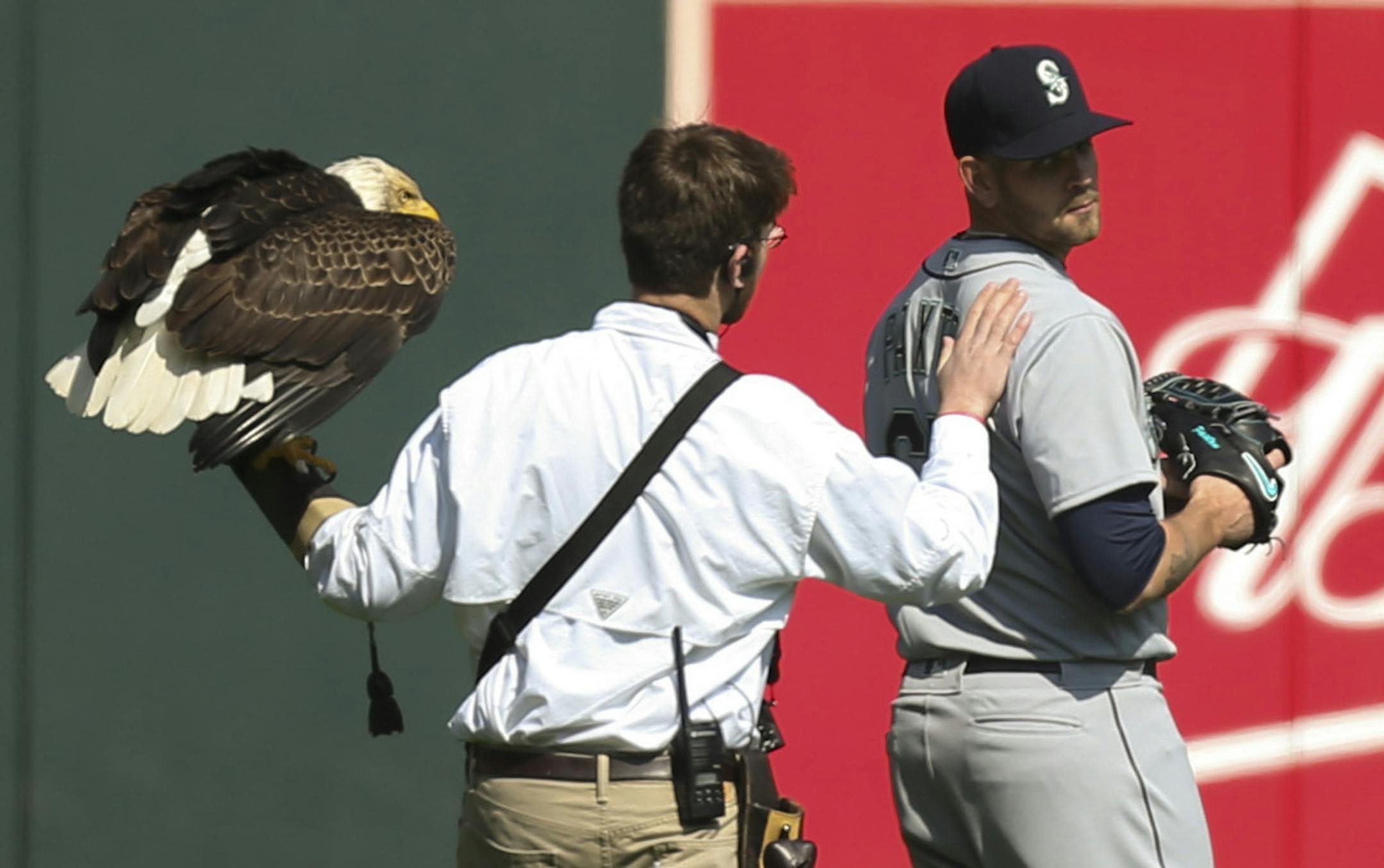 The handler for an American Eagle that was to fly to the pitcher's mound during the national anthem, comforted Seattle Mariners starting pitcher James Paxton, a Canadian, after the eagle chose to land on his shoulder instead. ] JEFF WHEELER &#xd4; jeff.wheeler@startribune.com The Minnesota Twins played the Seattle Mariners in their home opener Thursday afternoon, April 5, 2018 at Target Field in Minneapolis. ORG XMIT: MIN1804051709590902