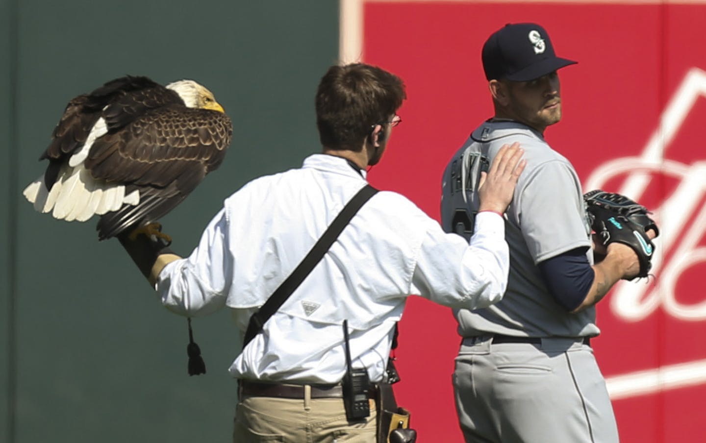 The handler for an American Eagle that was to fly to the pitcher's mound during the national anthem, comforted Seattle Mariners starting pitcher James Paxton, a Canadian, after the eagle chose to land on his shoulder instead. ] JEFF WHEELER &#xd4; jeff.wheeler@startribune.com The Minnesota Twins played the Seattle Mariners in their home opener Thursday afternoon, April 5, 2018 at Target Field in Minneapolis. ORG XMIT: MIN1804051709590902