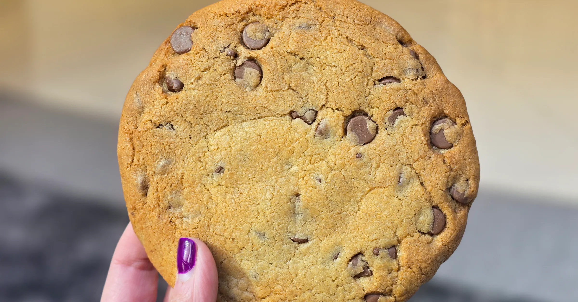 It’s not too late to celebrate National Chocolate Chip Cookie Day
