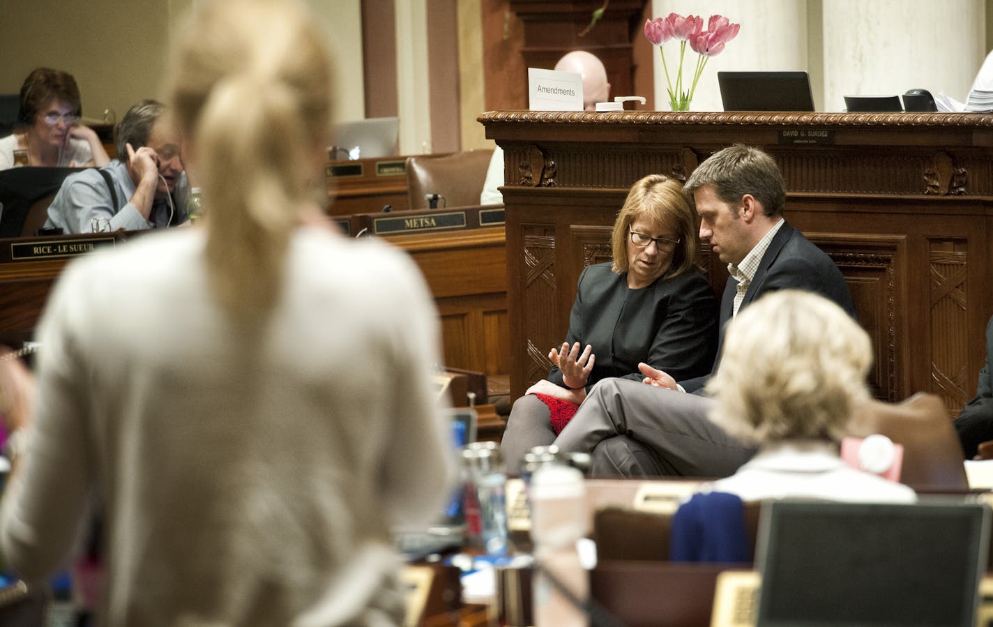 DFL Majority Leader Erin Murphy talked quietly with GOP Minority Leader Kurt Daudt while debate raged over day care unionization.