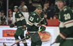 During the pregame skate, Minnesota Wild right wing J.T. Brown was among several players who warmed up with stick blades taped with rainbow colors on 