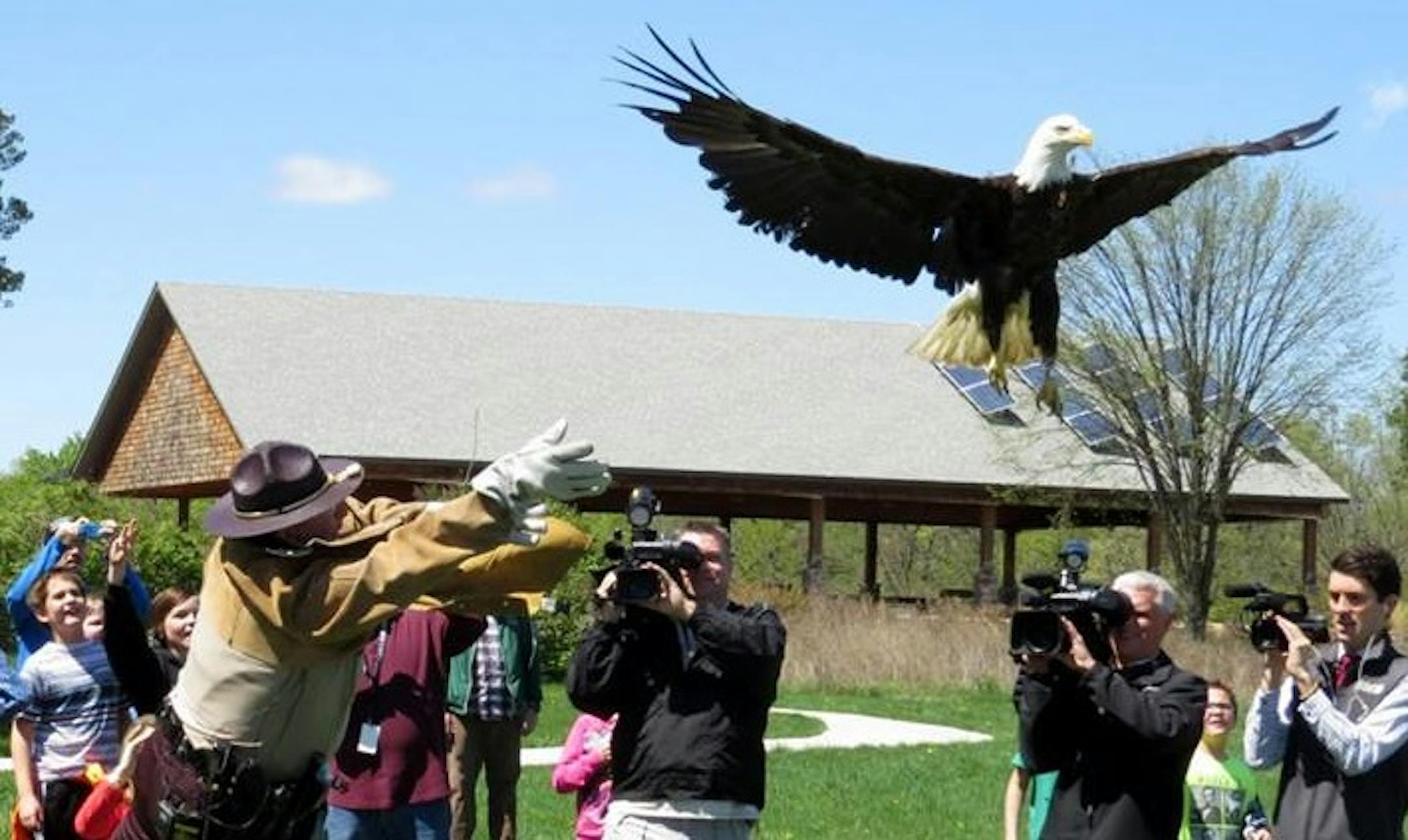 State trooper Paul Kingery set an eagle free Friday near Hastings, nearly six weeks after he rescued the injured bird from along a Twin Cities interstate.