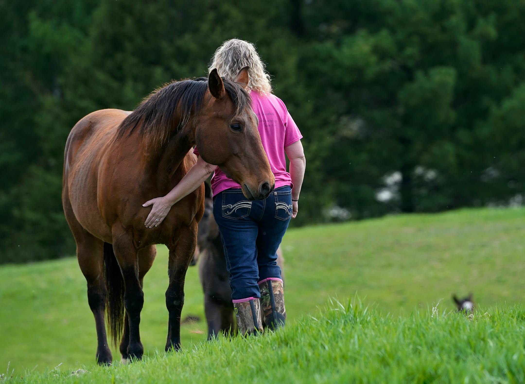 Animal Human Society agent Amanda Oquist checks on horses in a pasture while doing morning chores before heading to work Wednesday, May 18, 2022, near Finlayson, Minn.
