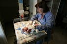 DAVID JOLES � djoles@startribune.com Unity Hospital obstetrician Lynn Rydberg, right, checks the vitals of newborn during an exam on Tyler Vang, bor