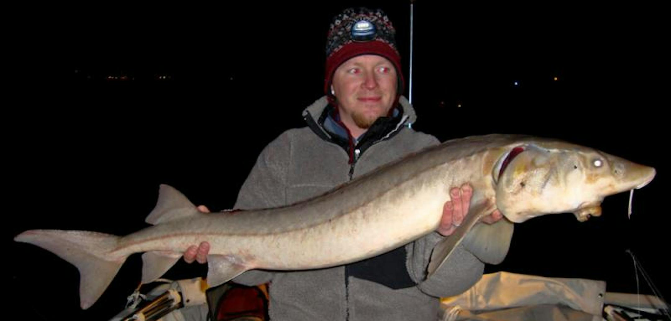 Heath Sershen handles a native St. Croix Lake Sturgeon after a long fight to bring the fish to hand.