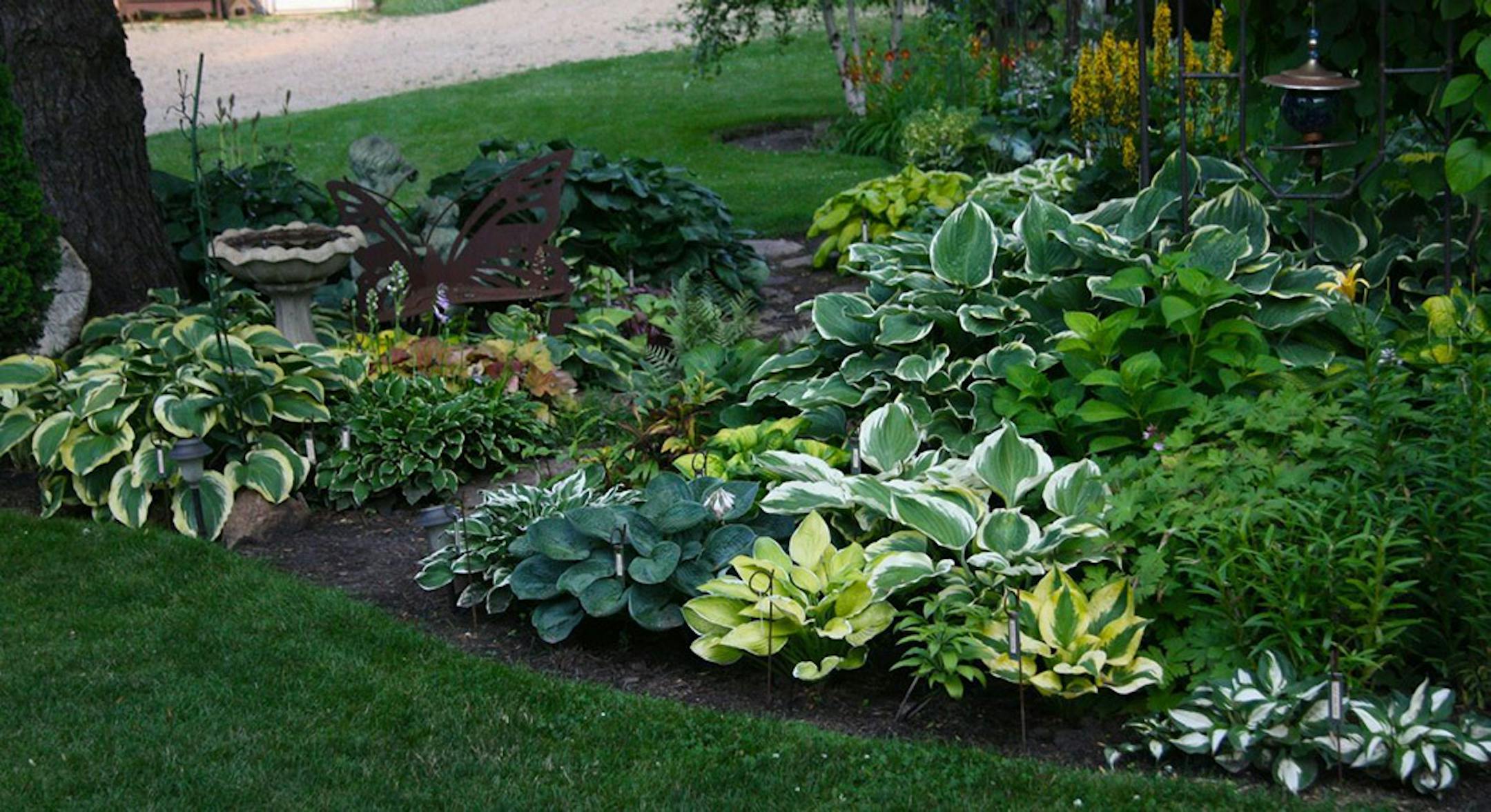 Mike and Kathy Pedersen's Shakopee gardens are an oasis of colorful perennials and hosta bordering a stream and pond. Provided