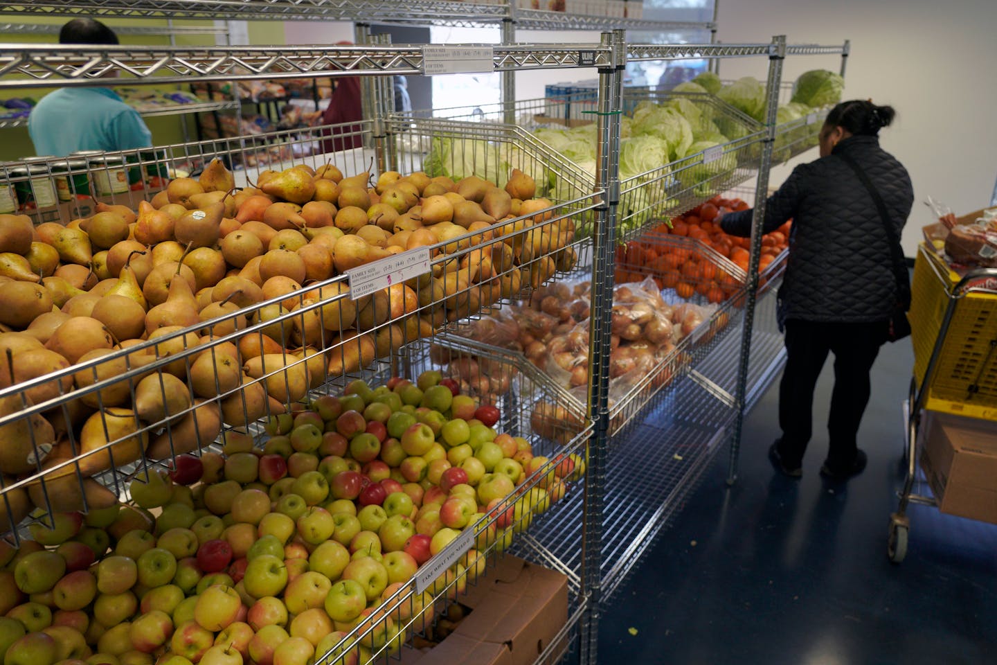 CAPIÕs Asian-specific food shelf in Brooklyn Park, has been meeting the cultural and nutritional needs of approximately 450 low-income Asian families each month. This program provides a total of 450,000 pounds of food per year.