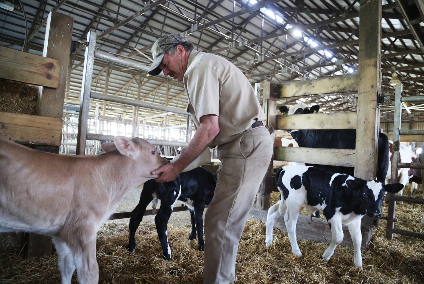 Not a fan of trade deal: On his dairy farm in Goodhue, Minn., Dave Buck says he and other Minnesota milk producers would like to sell more to Canada, but that NAFTA provisions restrict them. Buck, 60, has farmed all his life. &#x201c;I like the challenge,&#x201d; he said. &#x201c;You&#x2019;re your own boss.&#x201d;