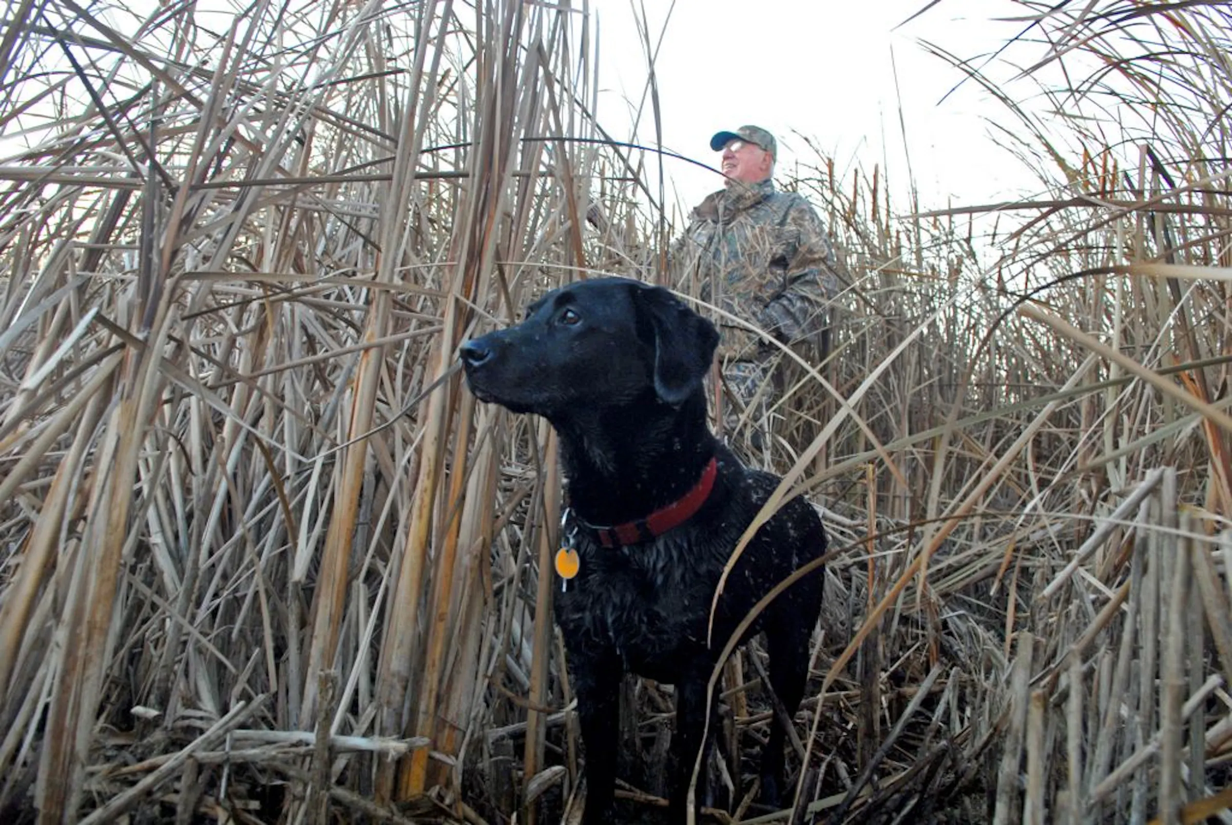 Anderson: Duck shack has real-life view