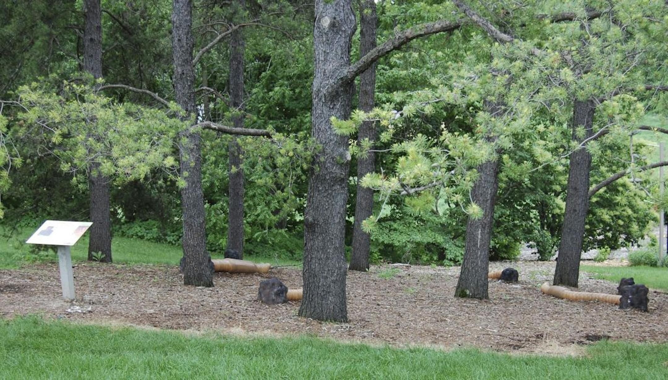 Eco Earthworms at the Arboretum.