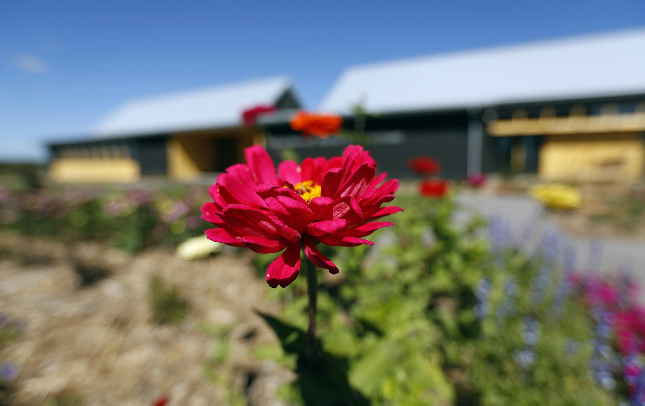 The Tashijian Bee and Discovery Center Wednesday September 15, 2016 in Chaska, MN. ] The Arboretum's new Tashijian Bee and Discovery Center opens Sept. 18 in Chanhassen with a mix of displays, demonstrations and garden tours aimed at engaging families Jerry Holt / jerry. Holt@Startribune.com