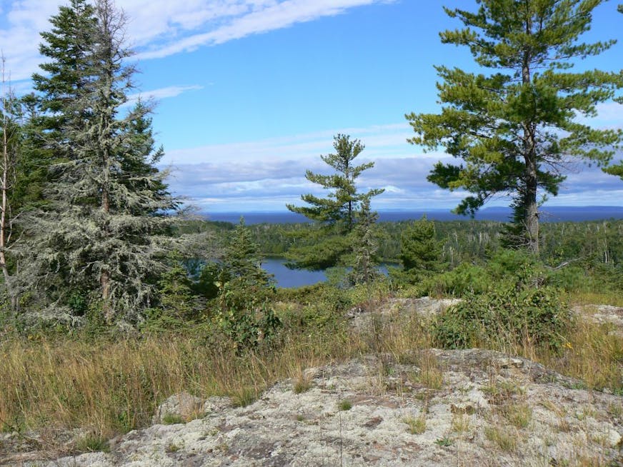 Isle Royale