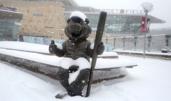 April has hardly been conducive to baseball, as Twins mascot TC Bear can attest.