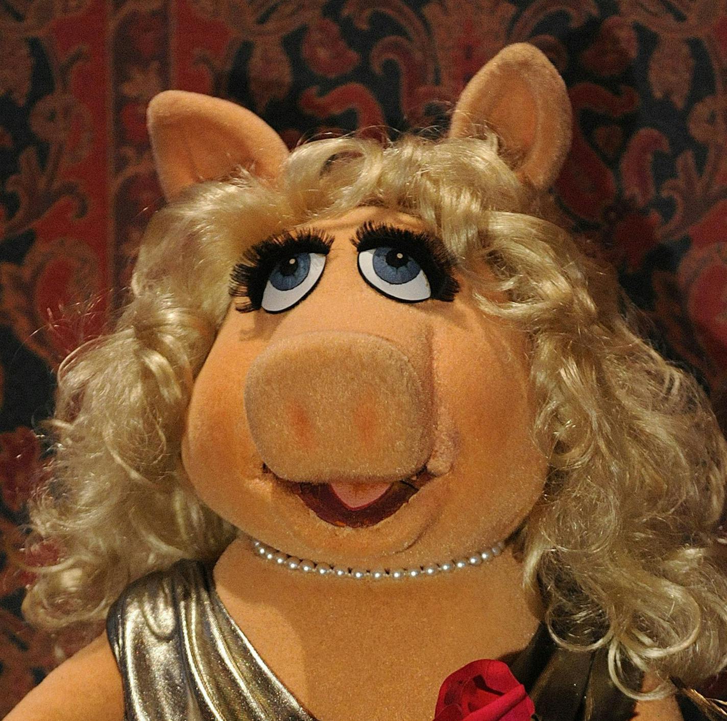 Miss Piggy at The National Museum of American History. Piggy, as well as other muppets from 'The Muppet Show,' were donated in 2013 by the Henson family. (Olivier Douliery/Abaca Press/MCT) ORG XMIT: 1669292