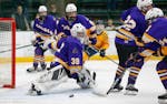 Chaska goalie Carter Wishart tracked the puck during the Hawks' 4-1 upset of top-seeded Prior Lake in the Class 2A, Section 6 semifinals on Saturday.
