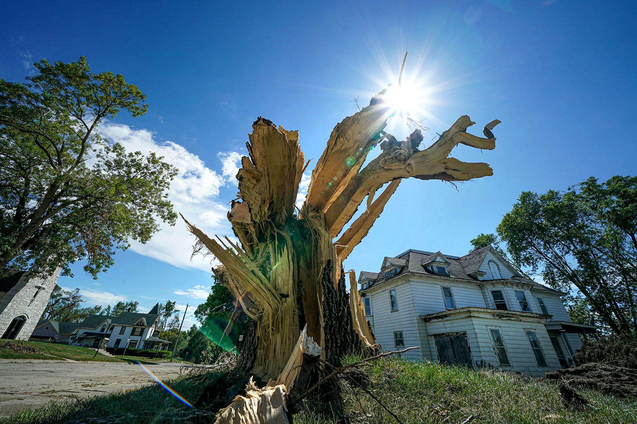 Winds up to 100 miles per hour ripped up trees and crops last week through much of central Iowa.