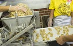 Sweet Martha&#x2019;s employees processed chocolate chip cookie dough through the dolloping machine. The dough comes together partly by trial and erro