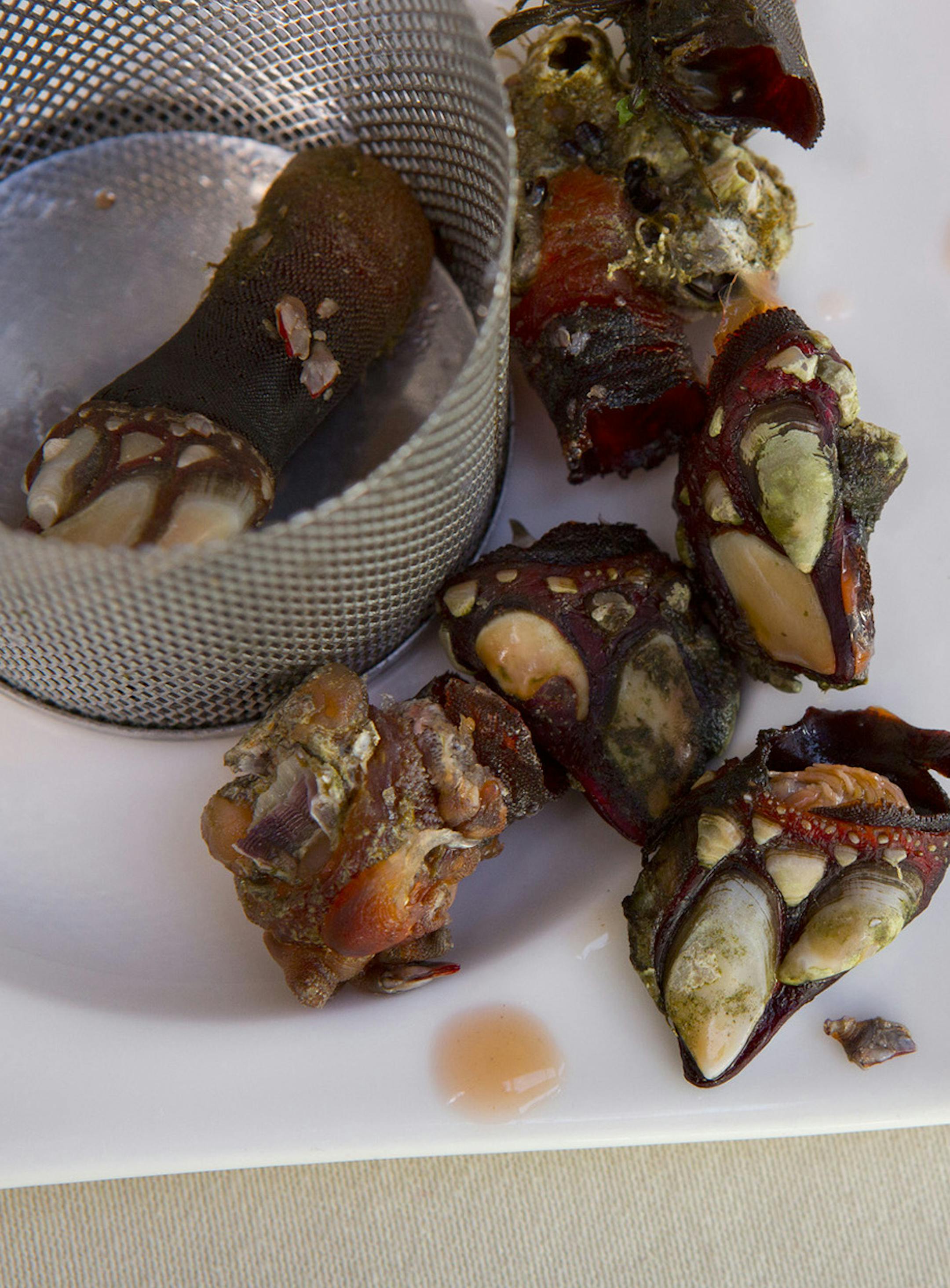 Photo by Mirra Fine, the Perennial Plate These are an awkwardly phallic and delicious delicacy harvested on the cliffs of Galicia. Many people die every year from climbing the "coast of death" to bring these to Spanish tables.