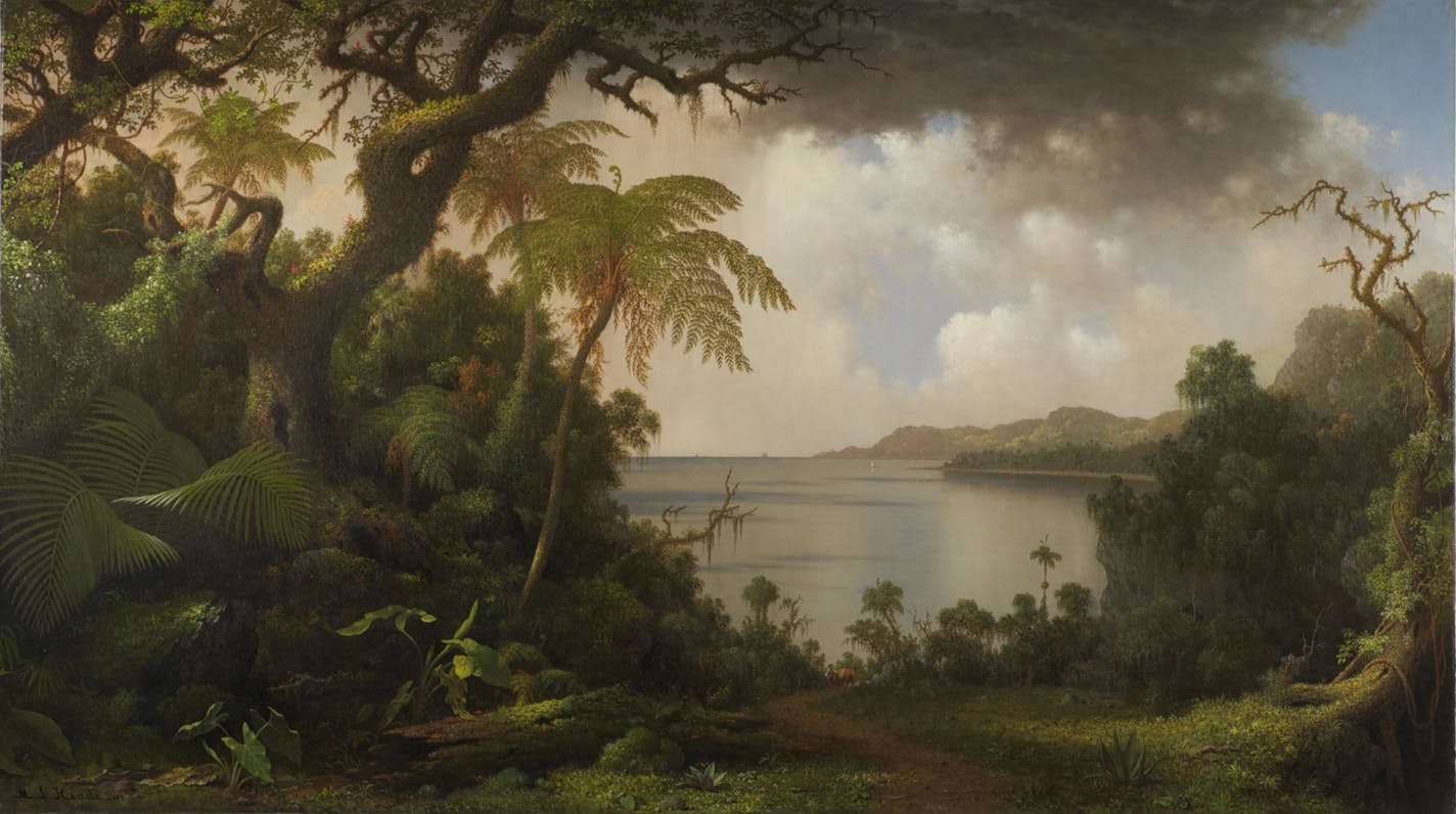 "View from Fern-Tree Walk, Jamaica," another Martin Johnson Head painting that Minnesota Marine Art Museum founders Mary Burrichter and Robert Kierlin purchased in 2013. Image courtesy of Sotheby's New York.