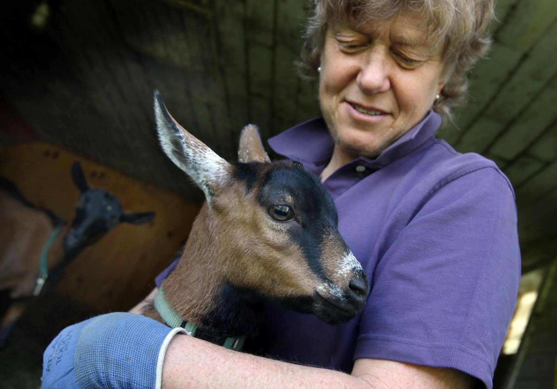 Dancing Wind Farms, owner, Mairi Doerr, purchased the 20-acre farmstead in 1985.
