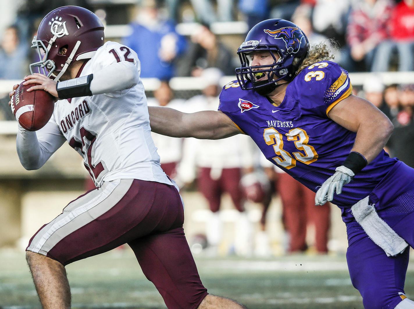 Minnesota State Mankato linebacker Tyler Henderson (33) flushed Concord quarterback Brian Novak out of the pocket during the first half. MSU defeated Concord 47-13 Saturday, Dec. 13, 2014, at Blakesee Stadium on the MSU campus in Mankato, MN. MSU earned a trip to the NCAA Division II National Championship in Kansas City.](DAVID JOLES/STARTRIBUNE)djoles@startribune.com Mankato State University and square off in the NCAA Division II national semifinals. David Joles