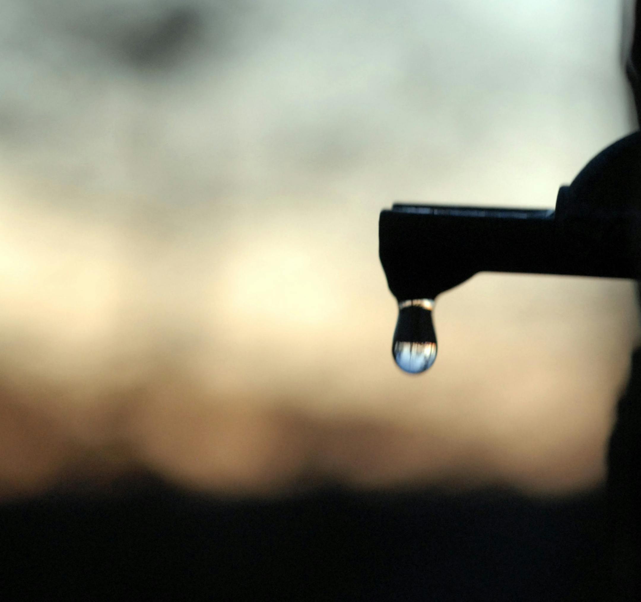 One drip at a time, sap from maple trees is collected to be cooked over an arch, or wood-burning stove, to make syrup.