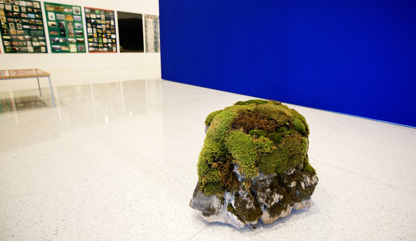 A moss-covered boulder is among the B&#xfc;ttner curiosities on display at the Walker.