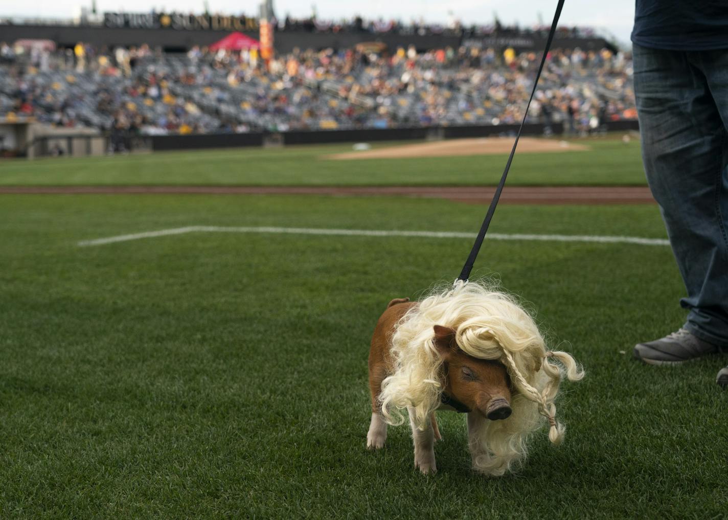 Daenerys Hoggaryen made her debut during the St. Paul Saints home opener at CHS field in St. Paul, Minn., on Thursday, May 16, 2019. ] RENEE JONES SCHNEIDER &#xa5; renee.jones@startribune.com