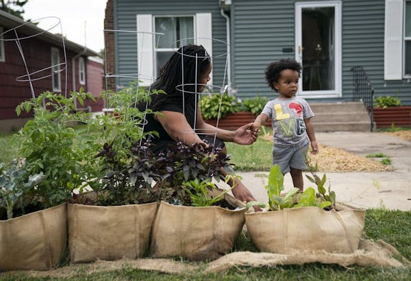 Twin Cities gardeners grow food for their neighbors on city boulevards