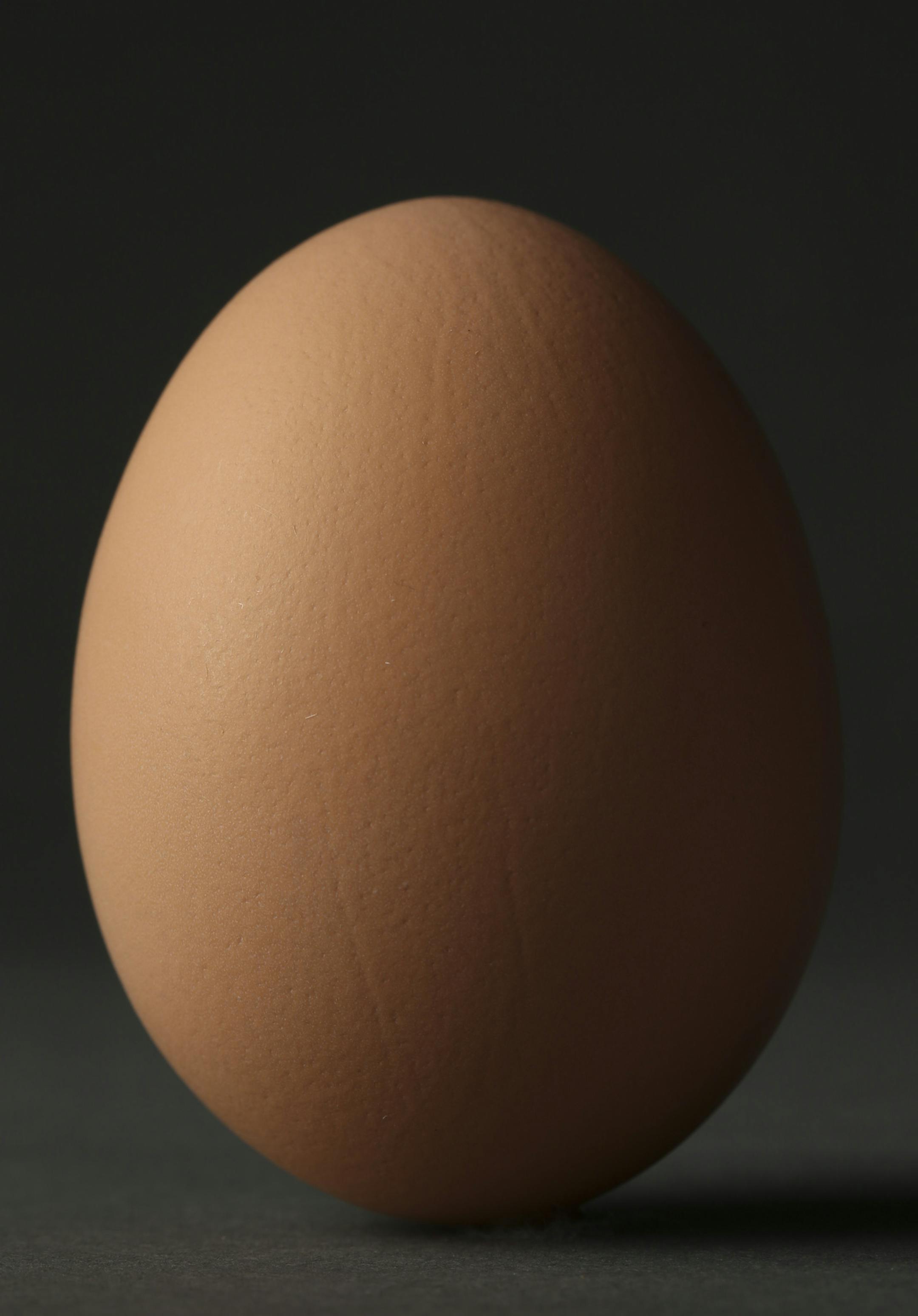 A brown egg from the backyard coop of Devon Anderson and Michael McNally of Minneapolis.