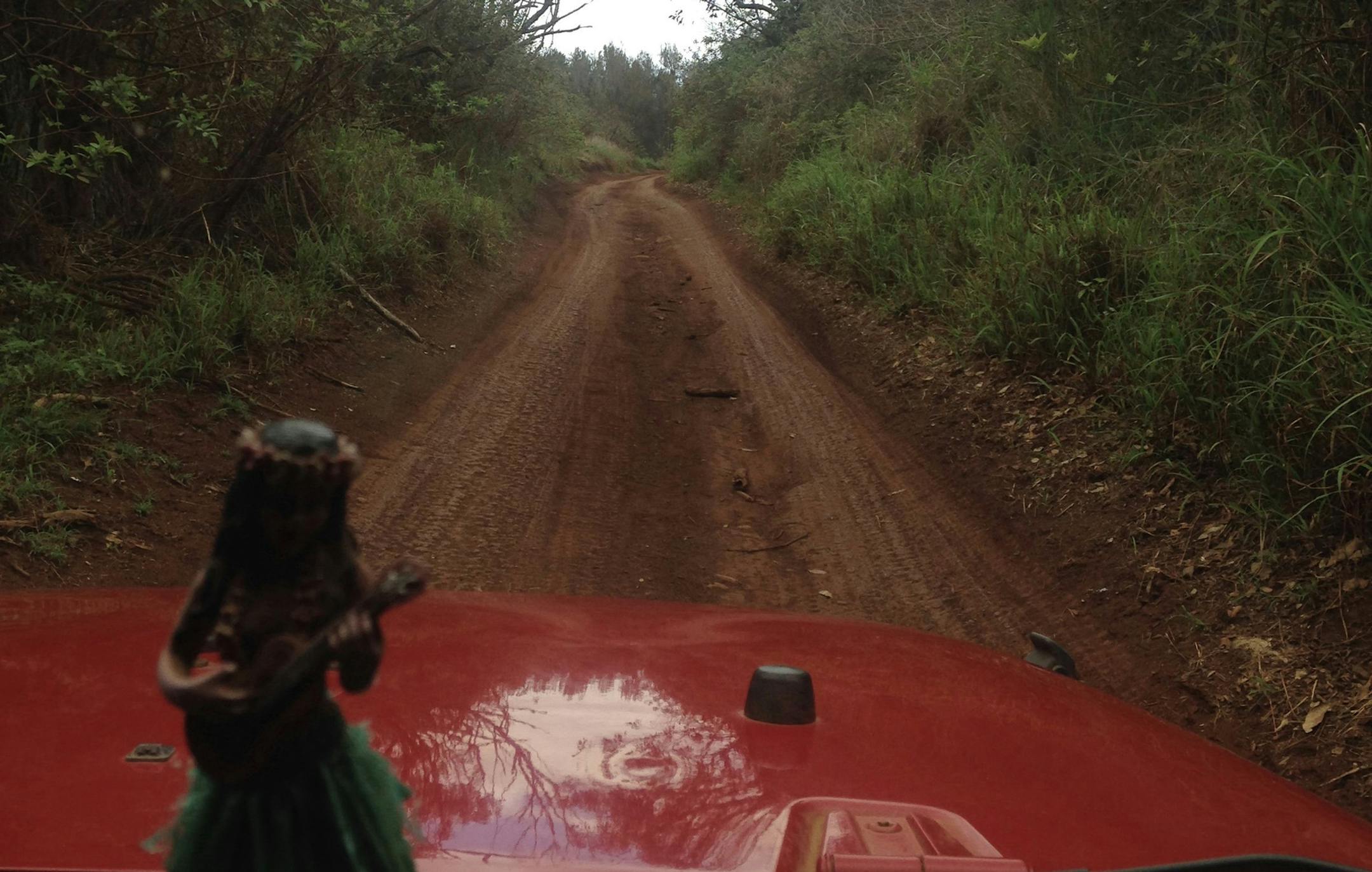 Lanai’s 400 miles of unpaved roads offer access to the farthest reaches of the island.