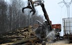 Jesse Anderson of J&A Logging prepared to lift a set of logs just after they were cut last month at a site near Cromwell, Minn. Timber production is d