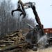 Jesse Anderson of J&A Logging prepares to lift a set of logs just after they cut. Timber production is down in Minnesota this winter because many fore