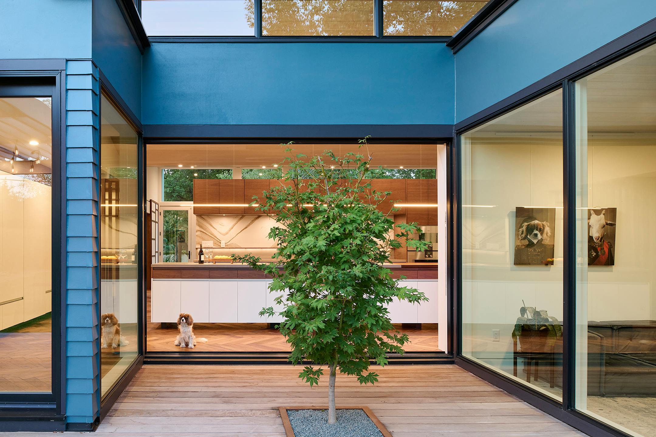 After a fire forced a remodel of a St. Louis Park home, a family hoped for a footprint similar to their original single-story ranch-style house. At the same time, they were game for introducing new, bold and unique materials and design features such as soaring rooflines and transom windows that allow light to come in and display the family's vast plant collection like never before.