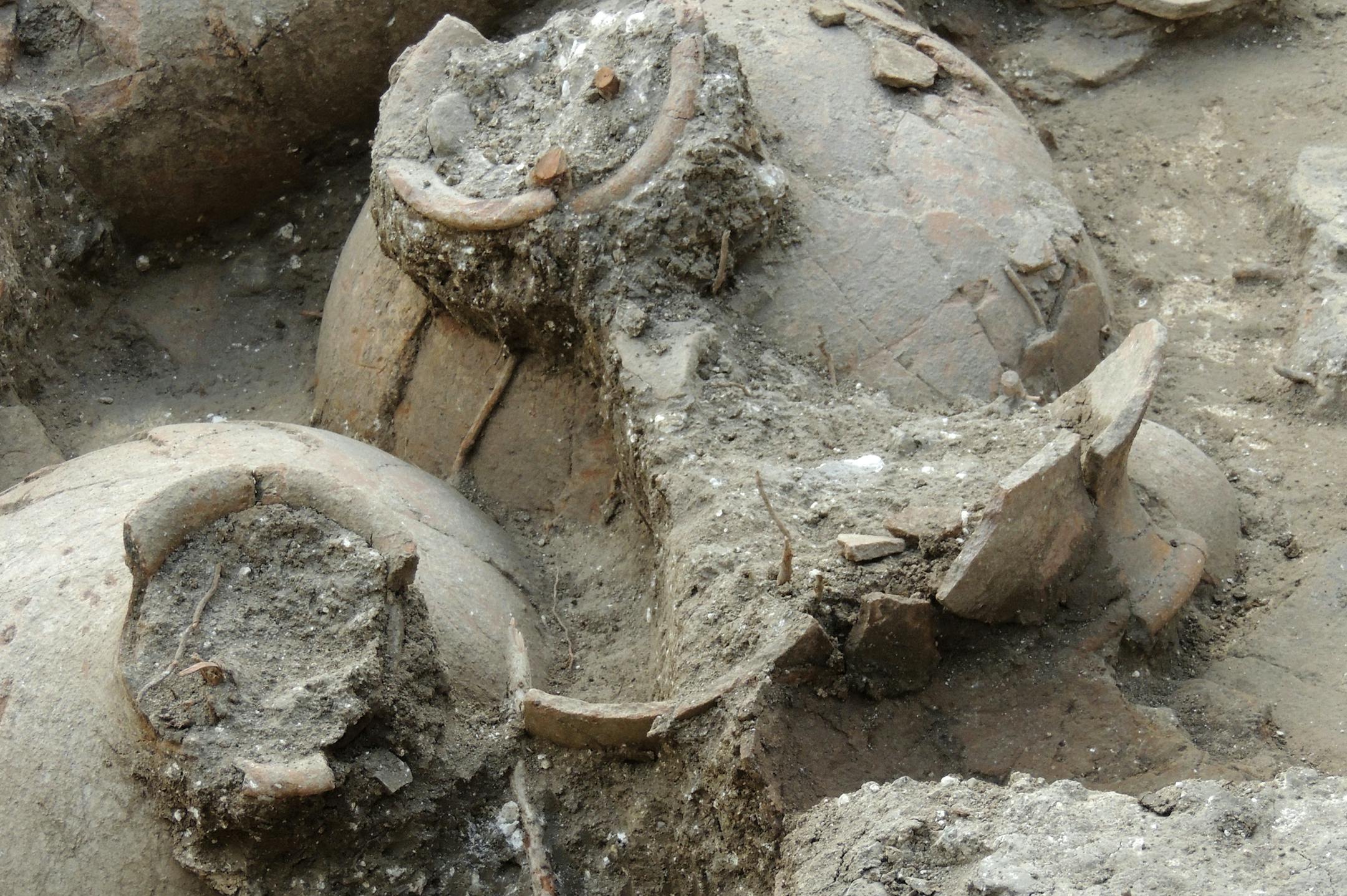 This undated photo provided by George Washington University shows 3,700-year-old jars were found in the ruins of a recently discovered wine cellar in a Canaanite palace that dates back to approximately 1700 B.C., near the modern town of Nahariya in northern Israel. Researchers found 40 ceramic jars, each big enough to hold about 13 gallons, in a single room. There may be more wine stored elsewhere, but the amount found so far wouldnít be enough to supply the local population, which is why r
