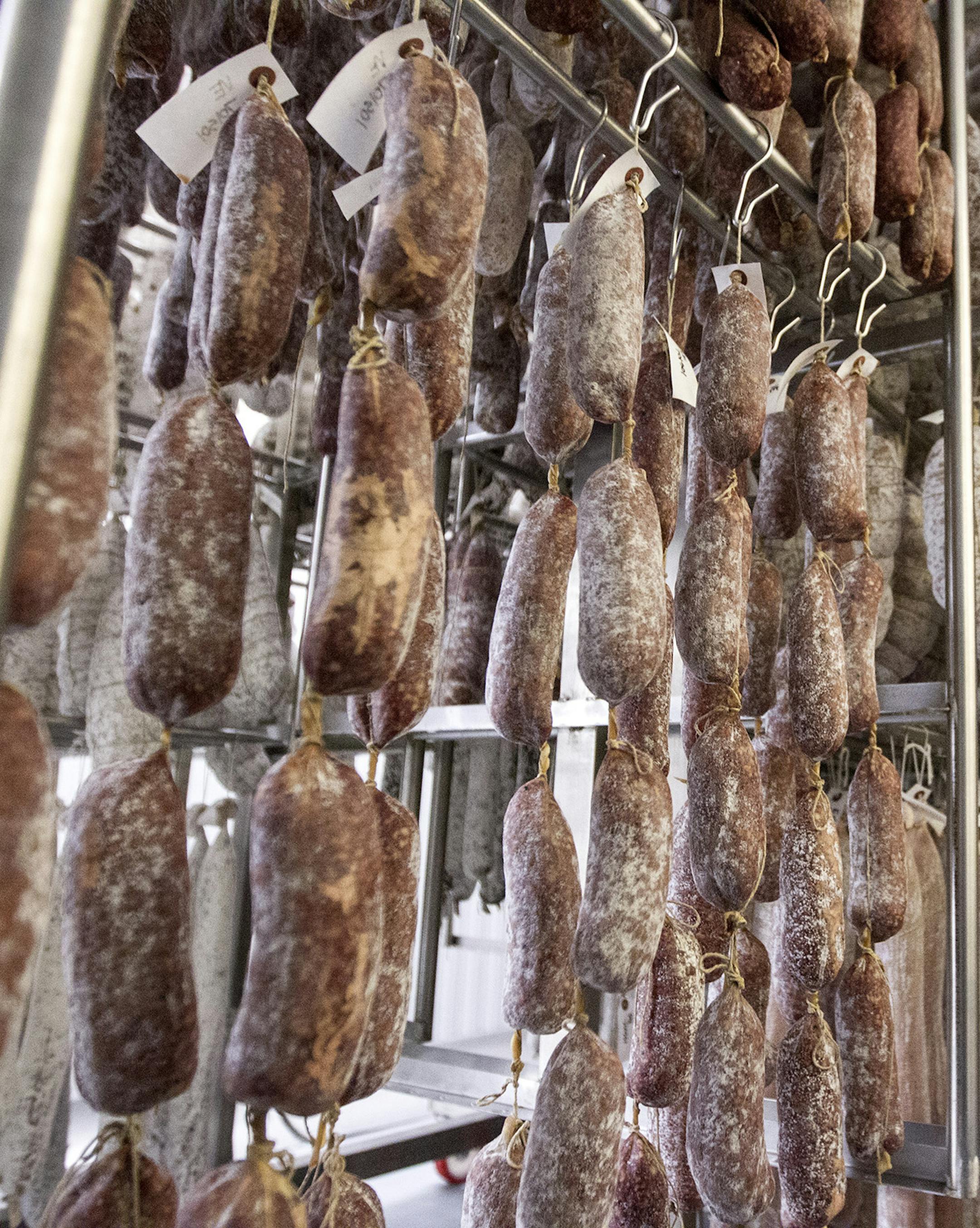 Salami hangs in the aging room in the Red Table Meat Co. production facility at Food Building in Minneapolis March 20, 2015. (Courtney Perry/Special to the Star Tribune)
