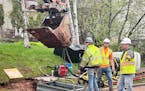 Workers replace a lead service line in Duluth’s Hillside neighborhood Thursday.