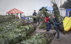 Volunteers unload Christmas trees at the YMCA in Idaho Falls, Idaho in late November. A low supply of Christmas trees nationally could mean higher pri