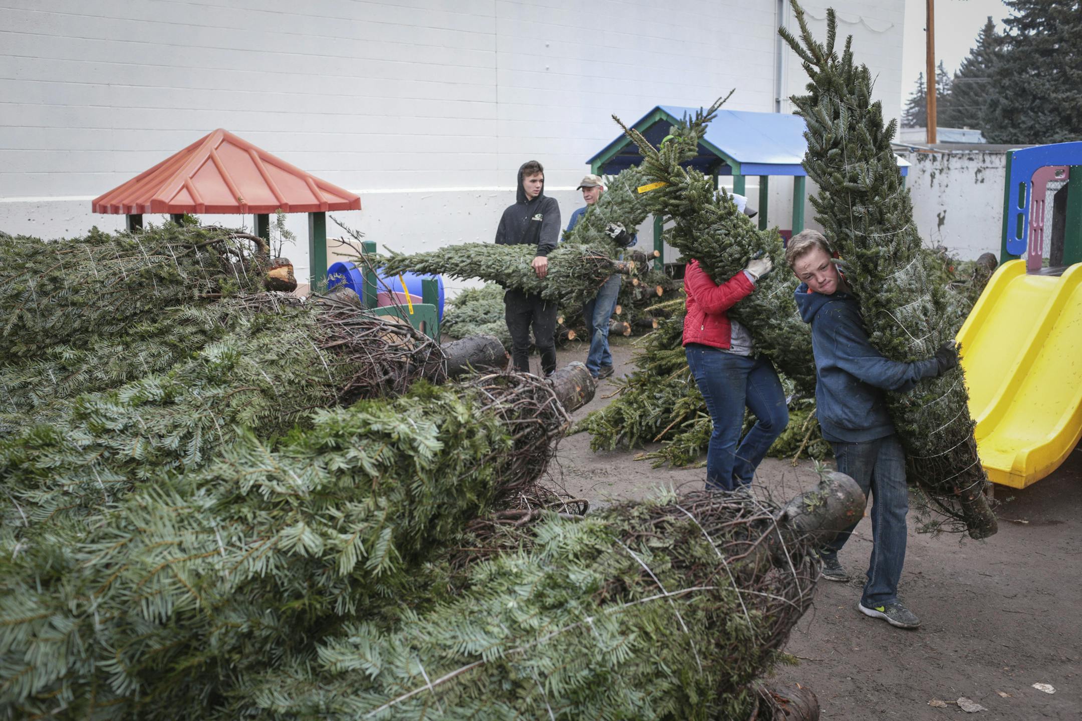 Volunteers unload Christmas trees at the YMCA in Idaho Falls, Idaho in late November. A low supply of Christmas trees nationally could mean higher prices.