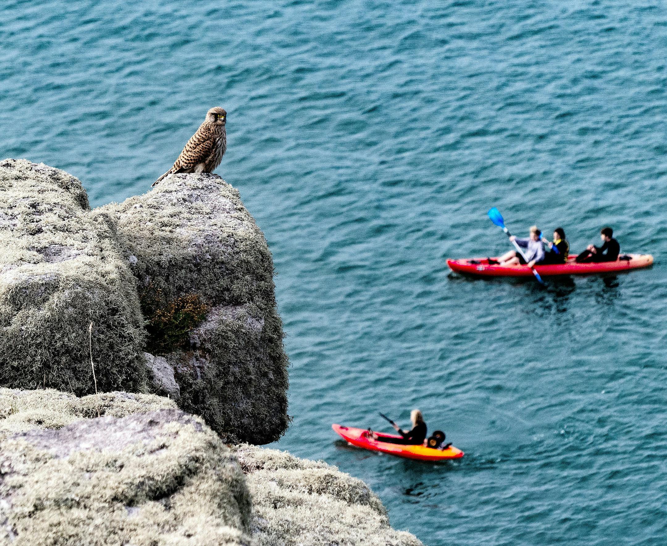 You can refer to me as Mark Ryan During our trip to Europe last fall, my wife, Marge, and I took a train from London out to Penzance on the southwest coast of England to visit my dad’s cousins (who by the way treated us like royalty!). Between family get-togethers we managed to see some of the sights around town including nearby St. Michael’s Mount, a monastery castle built in the 12th century. The mount and castle are accessible either by foot via a causeway during low tide or by
