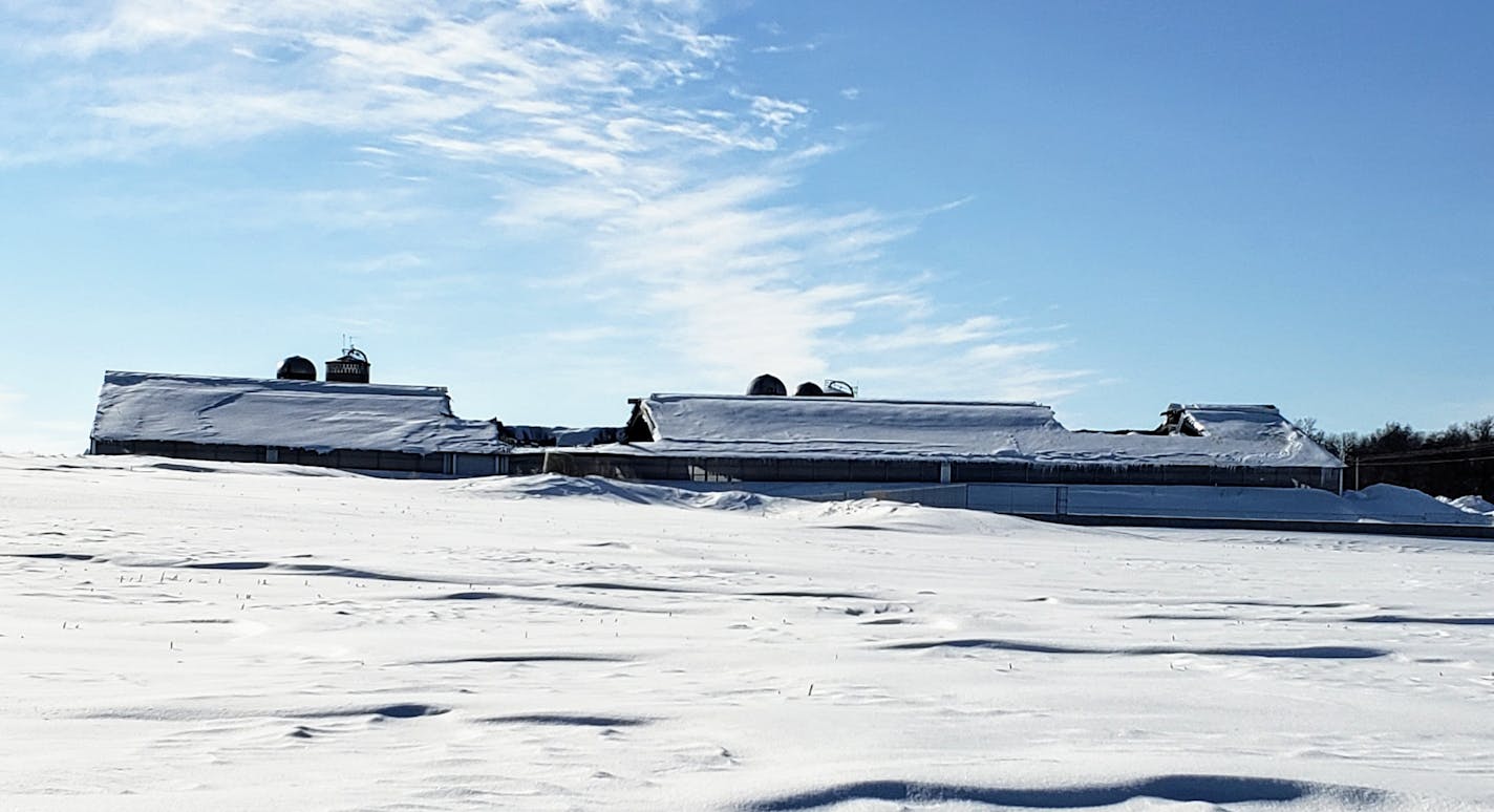 The Hoffman family in Chatfield, Minn., lost the barn roof, collapsed by the weight of the snow that fell in February.