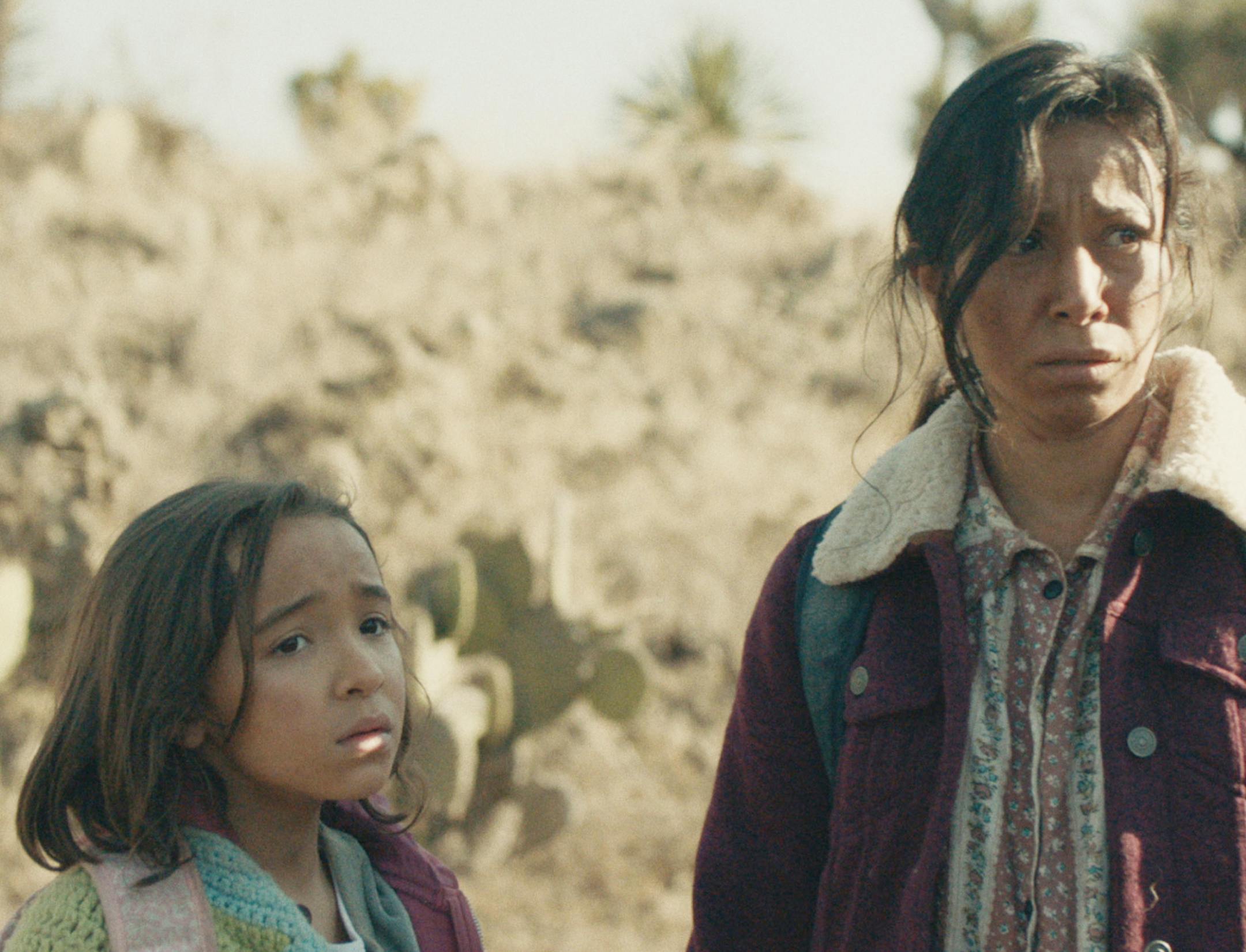84 Lumber’s Super Bowl ad depicted two illegal immigrants, a daughter and mother, trying to find their way to the U.S.