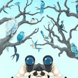 An illustration shows a person holding binoculars looking up at several birds in a tree, all colored blue.