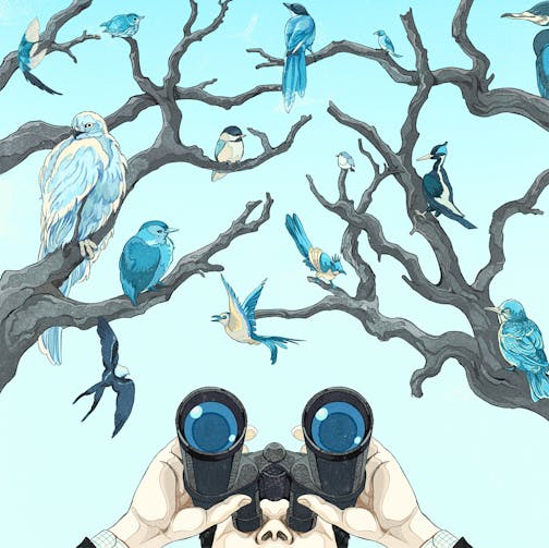 An illustration shows a person holding binoculars looking up at several birds in a tree, all colored blue.