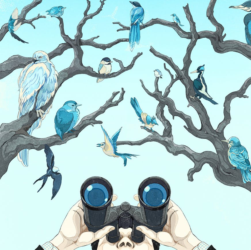 An illustration shows a person holding binoculars looking up at several birds in a tree, all colored blue.