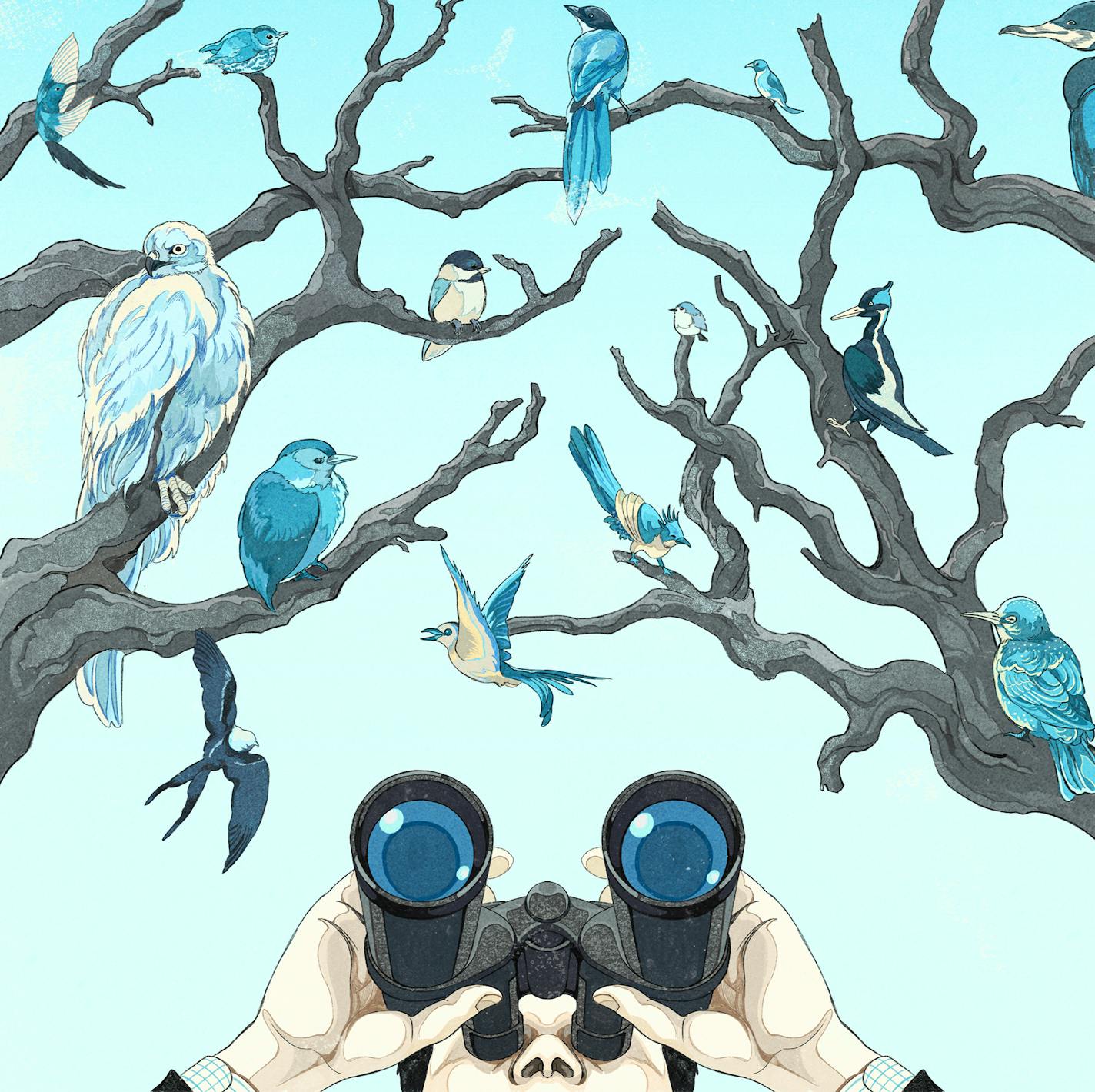 An illustration shows a person holding binoculars looking up at several birds in a tree, all colored blue.