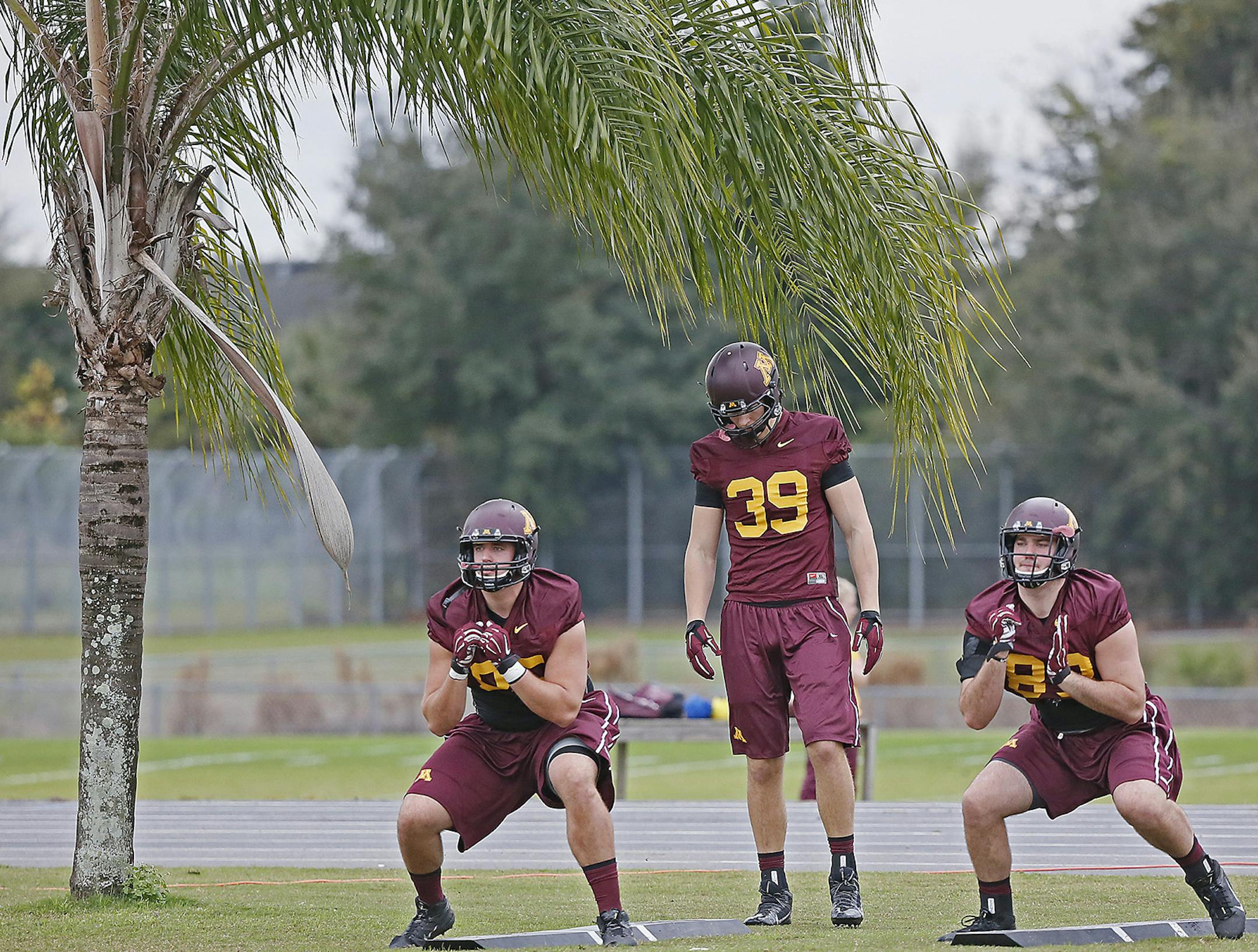Minnesota football players practiced beneath a palm tree at Freedom High School, Friday, December 26, 2014 in Orlando, FL. ] (ELIZABETH FLORES/STAR TRIBUNE) ELIZABETH FLORES • eflores@startribune.com