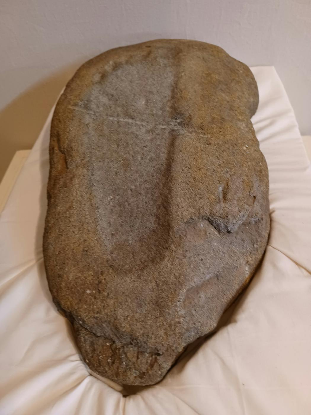 A human footprint petroglyph.